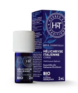 Helichryse italienne - Immortelle (Helichrysum italicum)